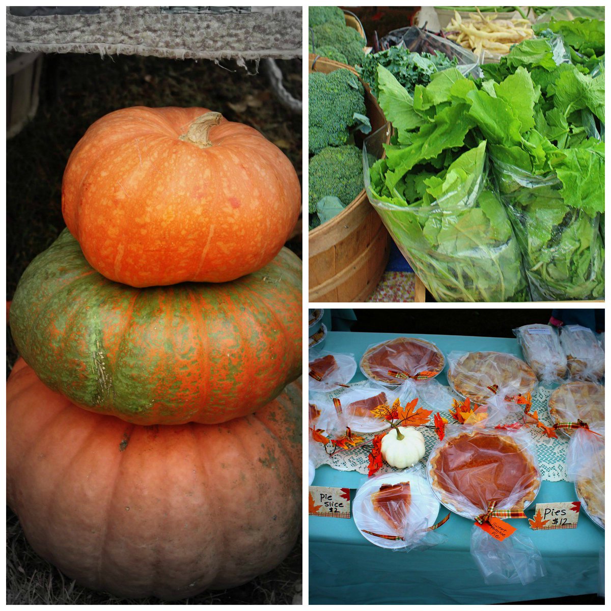 FINAL MARKET of the season!  Tomorrow 9 to noon.  Live Music by The Old Paints from Bham! tinyurl.com/oyct5qo