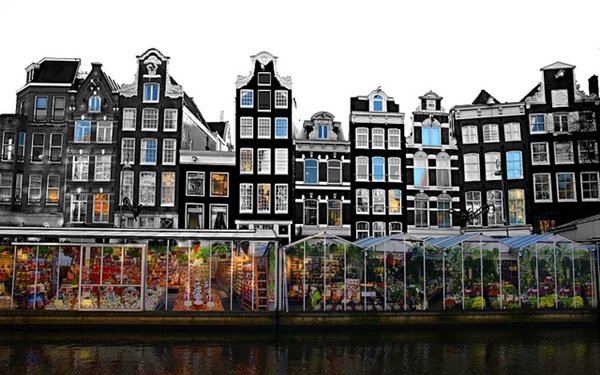TravelerPedia's tweet photo. سوق الزهور Bloemen markt في #أمستردام
إحداثيات: N 52 22.010 , E 4 53.477
https://t.co/vxqb9L6PMn  #موسوعة_المسافر https://t.co/LBXF9r2xg5