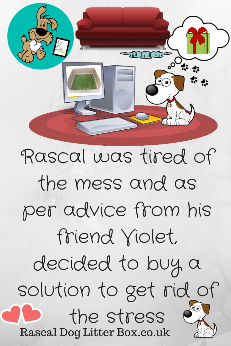 RascalDogBox tweet picture