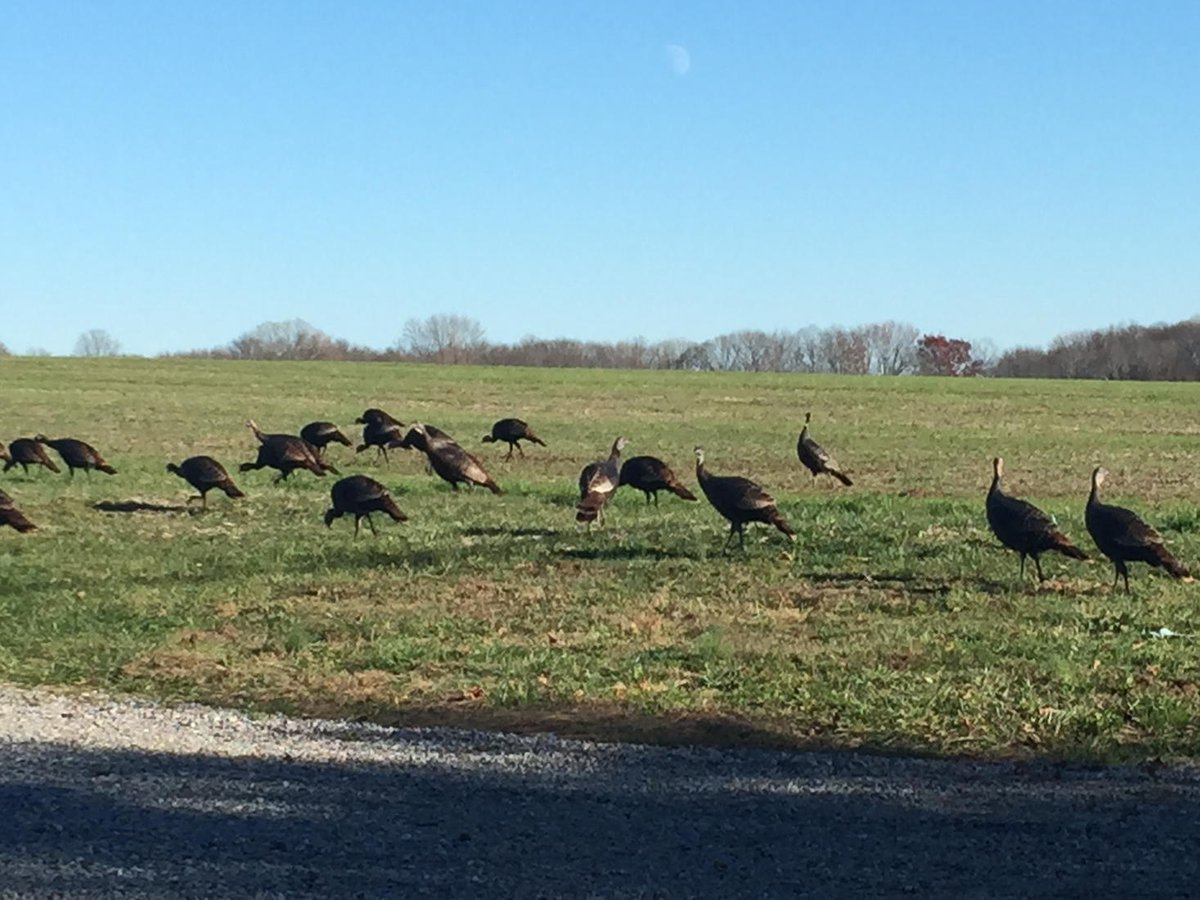 Driving home I stumbled upon this troubled group..go hide cause death is on the doorstep #thanksgiving