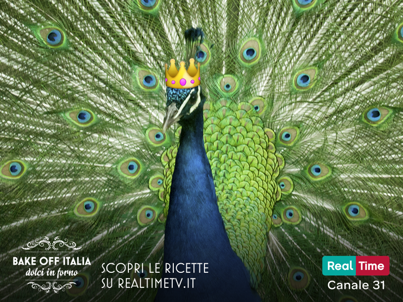realtimetvit tweet picture