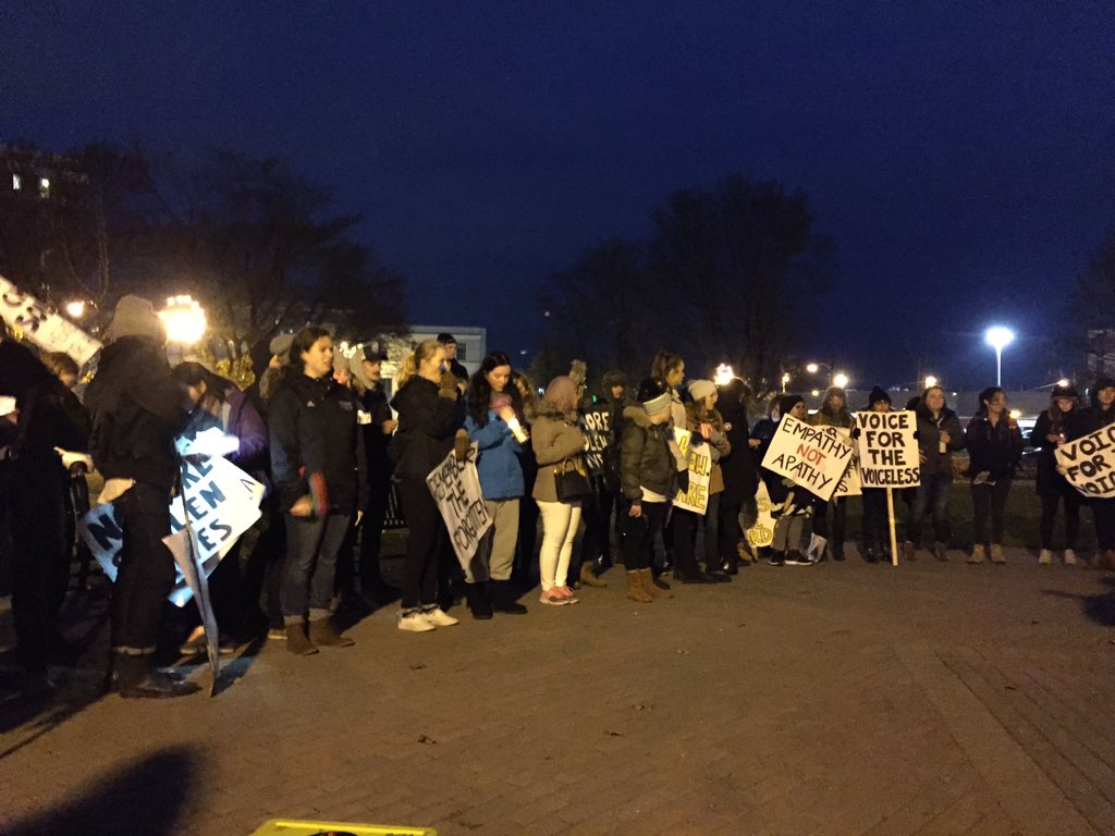 ProfessorHuish's tweet photo. Rally in support of #dprk #refugeeswelcome right now in Cornwallis park @haligonia @Camp14_Project https://t.co/UjAqu6oea6
