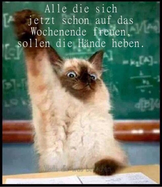 SchMerlin tweet picture