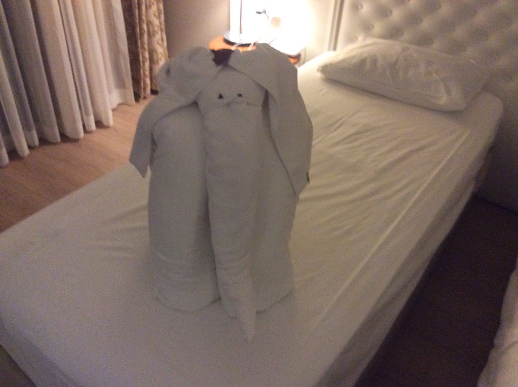 travelgirl18's tweet photo. @TCRetailEvents #itstimelive there was definitely an elephant in the room last night #towelart https://t.co/KyPYQtDug9