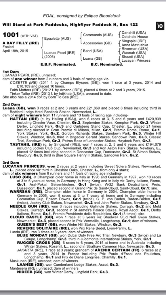 Eclipse_uk's tweet photo. Lot 1001 Epaulette filly o/o half to Gr.3w Hattan and Tastahil, family of Luso and Avenir Certain #markyourcatalogue https://t.co/iDhpLbxIg1