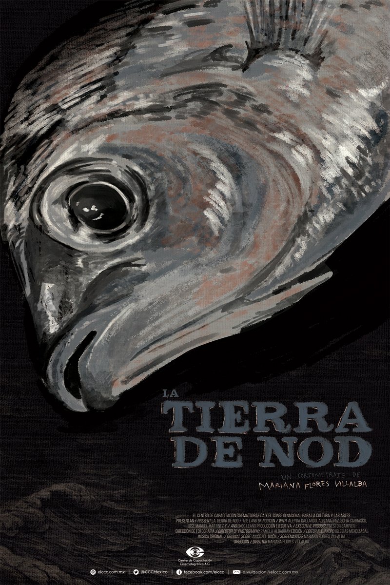 CCCMexico's tweet photo. LA TIERRA DE NOD de Mariana Flores: Mención Especial en el festival The Cinema Of Tomorrow en Egipto. #CortoCCC https://t.co/crLUrZ9S0e