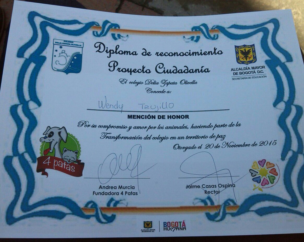 PIECCSuba's tweet photo. Hoy se inauguró el hogar de paso de perros y gatos en el Colegio Delia Zapata,  Proyecto "Amigos de 4 patas" https://t.co/4q5MgDvPwk