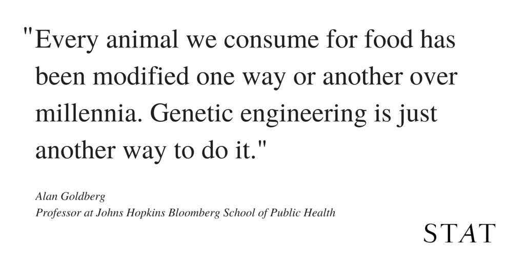 online Differential and Integral Equations: Boundary Value Problems