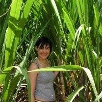 En mémoire tweet media