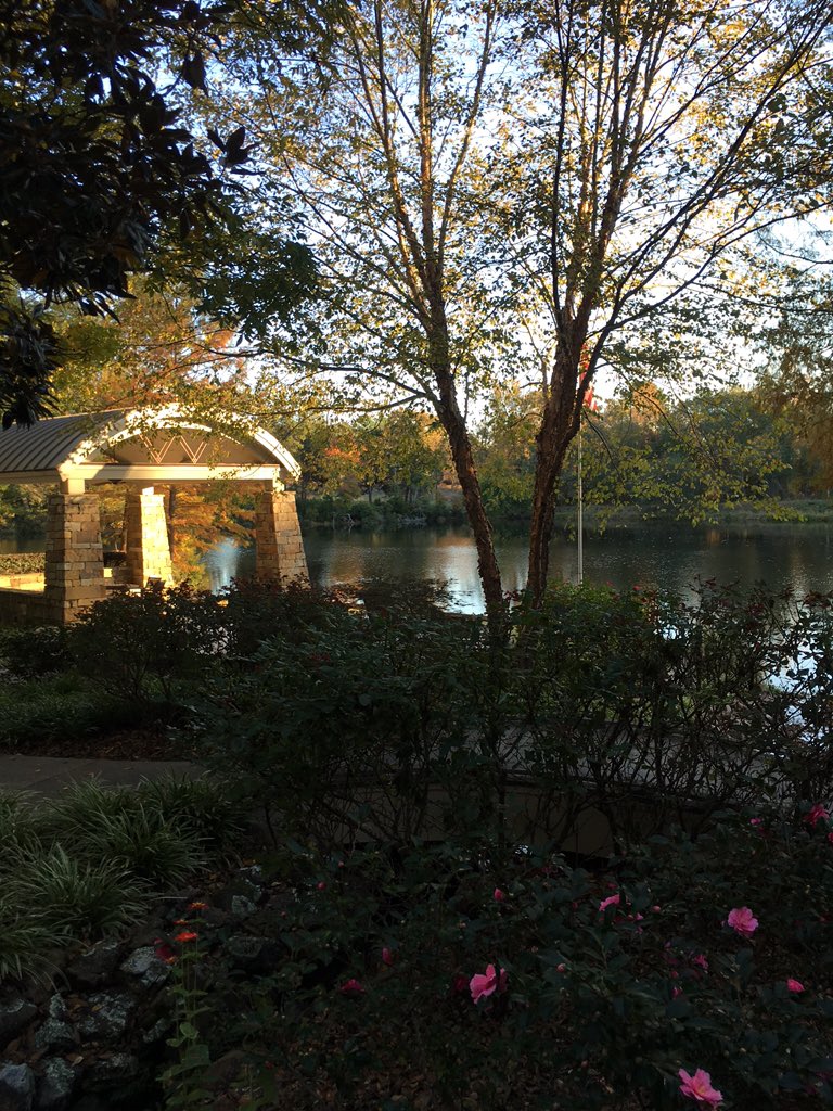 FluidITServices's tweet photo. Perfect weather for our company retreat. #CampFluid2015 https://t.co/jPXWDHJL9P
