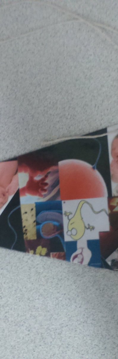 pathman1967's tweet photo. Year 7, Reproduction topic tie! In science with DrJ #HOWTOINSPIRE our students @NortonTandL @NortonCollege https://t.co/AFAxFsLyX7