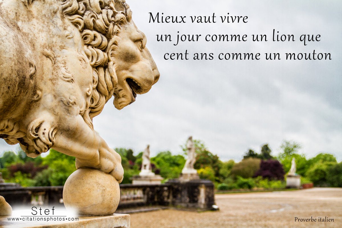 chauffeur_pro's tweet photo. #Bamako #Mali #Prayers4Paris mais unissons nous dans la lutte contre la terreur. Si tu veut la paix prepare laguerre https://t.co/NfOnTjgX4c