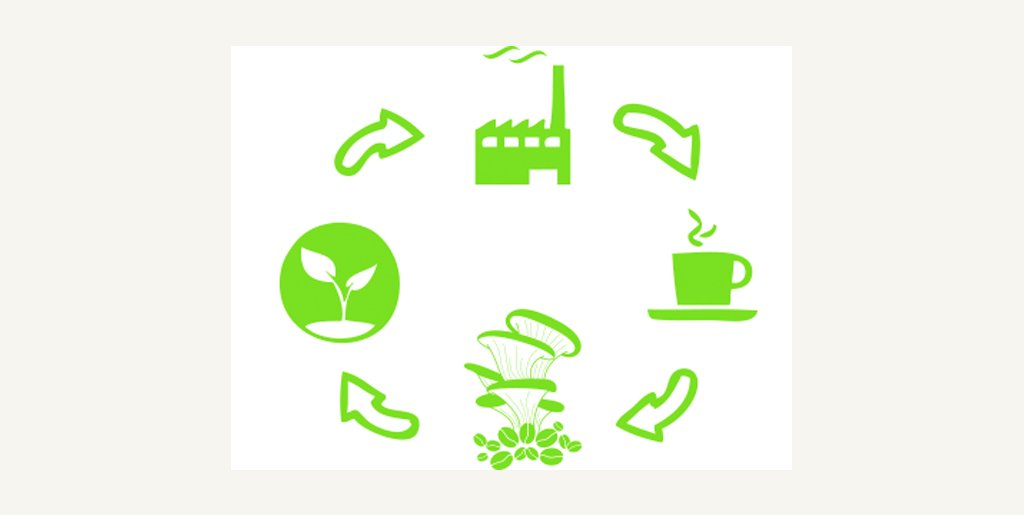 setaspocket's tweet photo. Nuestro proyecto: setas en posos de café.  #EquipoSetas  https://t.co/GM3yuNwDHN https://t.co/3E24XbbYJ0