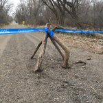 Photo by MN Cyclocross (@MNChampCX)