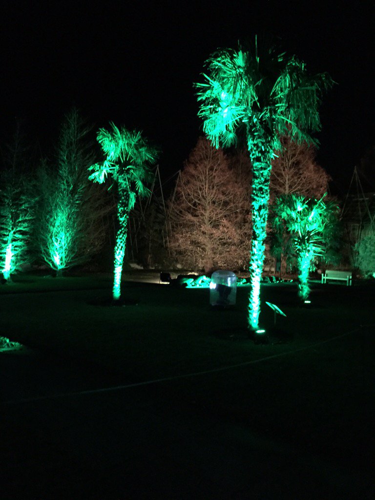 kilaa85's tweet photo. Lovely crisp night at the botanic lights! Defo worth a visit. #BotanicLights #fairytail ✨ https://t.co/QBL874bdPz