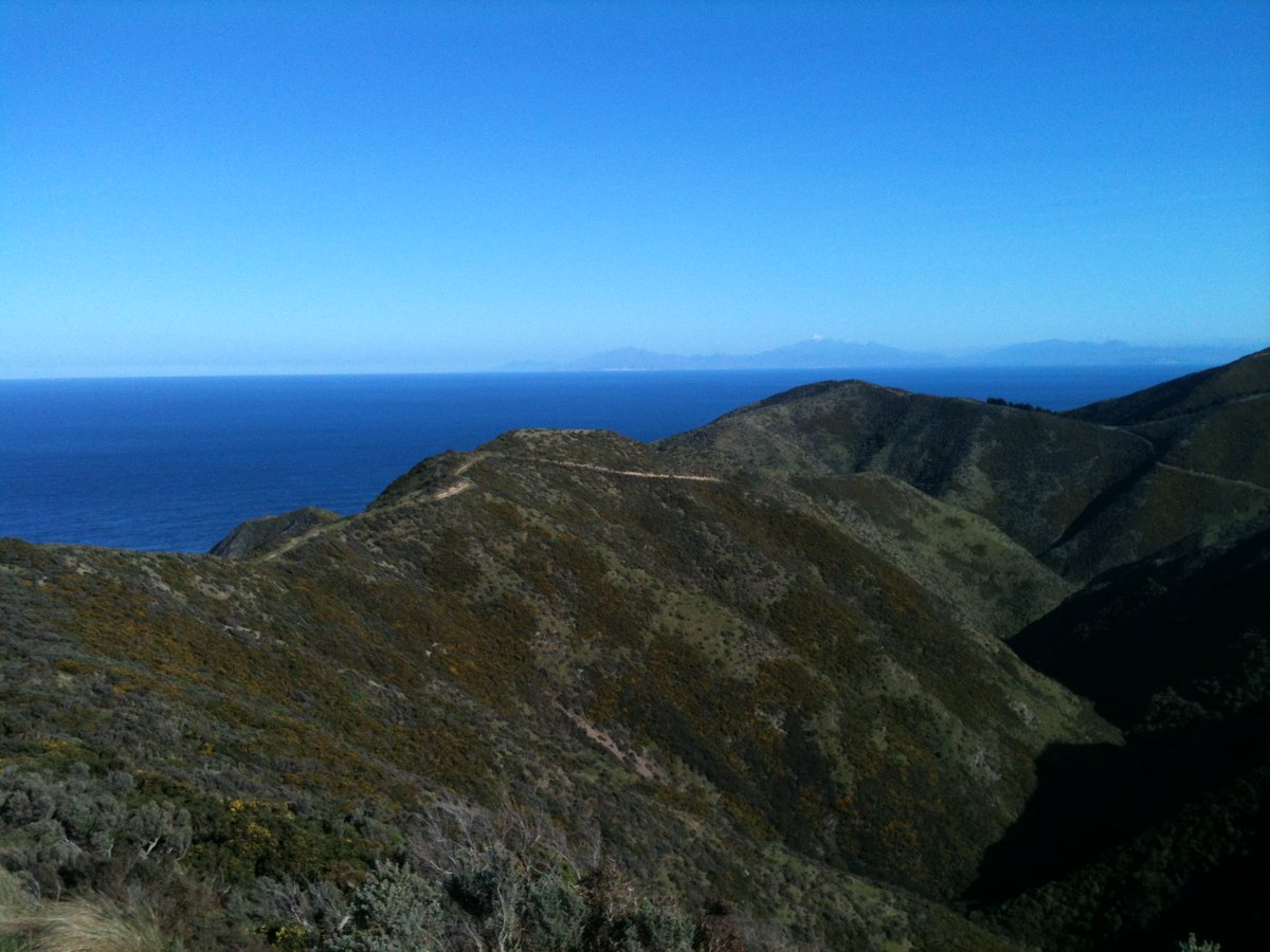 redlinekiwinz's tweet photo. New event:The WUU-2K, 17/07/16 #Wellington #AdventureRace #Run #NZ #newzealand https://t.co/DCL6O4ogkw https://t.co/jy9JRQy00s