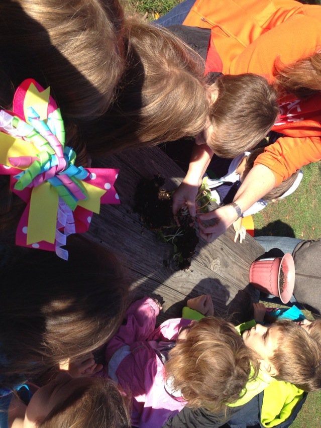 lwcaccavale's tweet photo. DES first graders in Mrs. Reames class investigate the roots in a pumpkin experiment #DES15 #ycsd15 https://t.co/VHLS8NCE6W