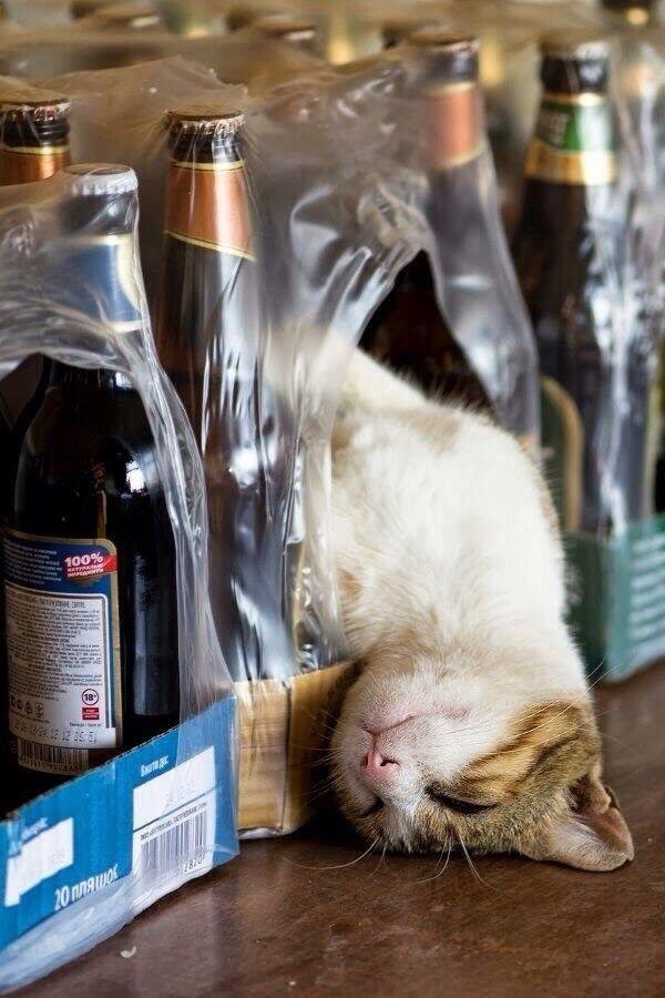 HBudapets's tweet photo. Viernes de... https://t.co/hhDhhqwxRC