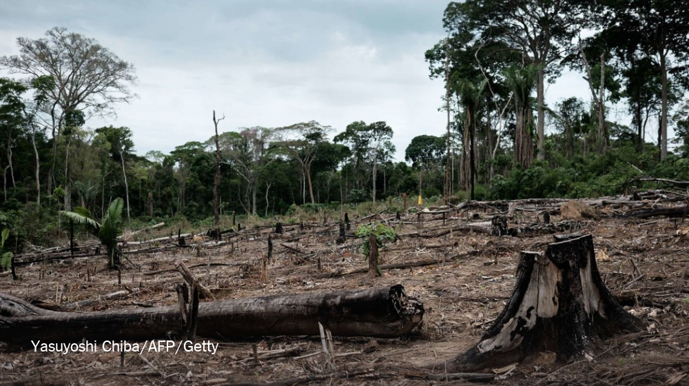 NYTScience's tweet photo. Deforestation may threaten a majority of Amazon tree species https://t.co/Q3Xh3OUaAb https://t.co/S6a8rxhpJR