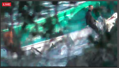miladysa's tweet photo. LAST SKIFF LEAVING THE COVE
bodies onboard
killers posing for the cameras
#tweet4taiji https://t.co/jaFg3obK0U