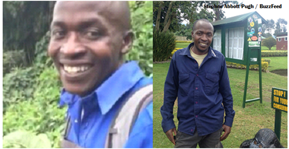 where are they now on twitter bizagwira marc 26 okay vine guy