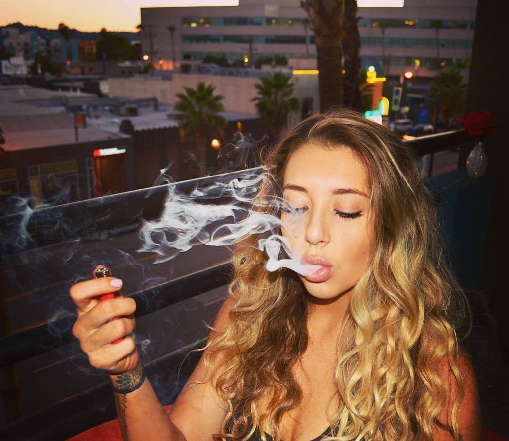 GanjaGirls's tweet photo. . Late night medication🍁💭✨ #healingofthenation #herb #holistic #medicate #highlyfunctioning #stoner @headd #GanjaGi… https://t.co/0kuHb9Dj7T