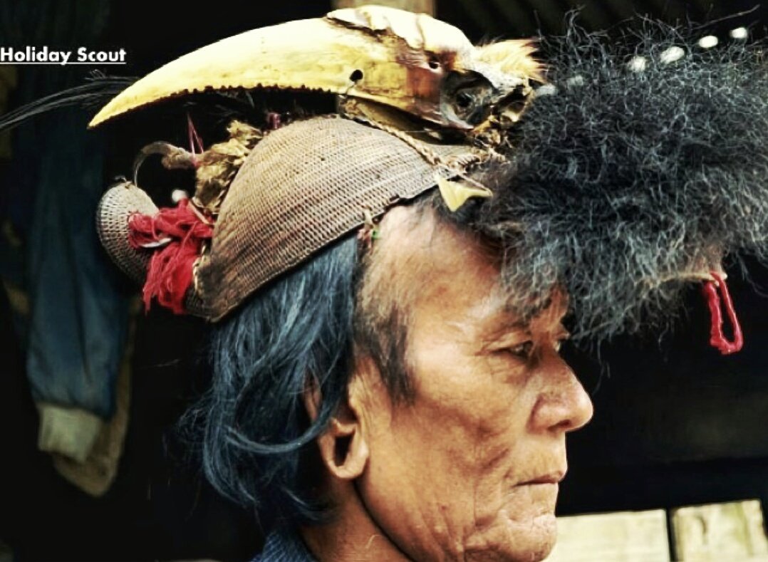 Holiday Scout tweet media