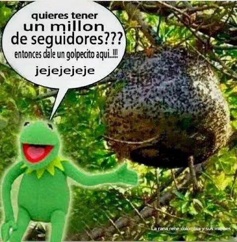 Gomez78Julio's tweet photo. https://t.co/tuFrq3VmHj