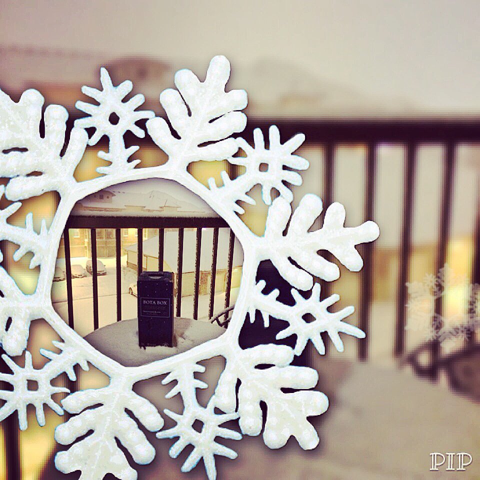 HeidiJMess's tweet photo. Snowed In! @Bota_Box #nighthawkblack #wine #firstsnowfall #tvdatenight @jimmymac3475 #iowa 🍷❄️ https://t.co/WEHV0ixSYY