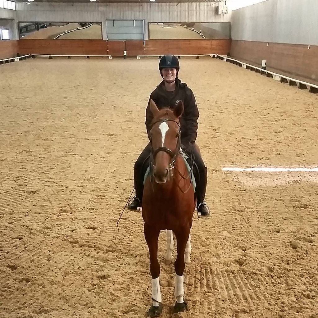 EQPpics's tweet photo. Post by cdeimling10: She says no pictures please!! @roger_thornberry95 #grumpy #redheadmare #nothingbuttrouble #dre… https://t.co/0Qc7gdL70E