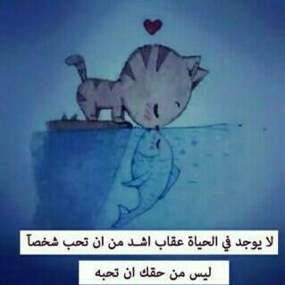 evaa227 tweet picture