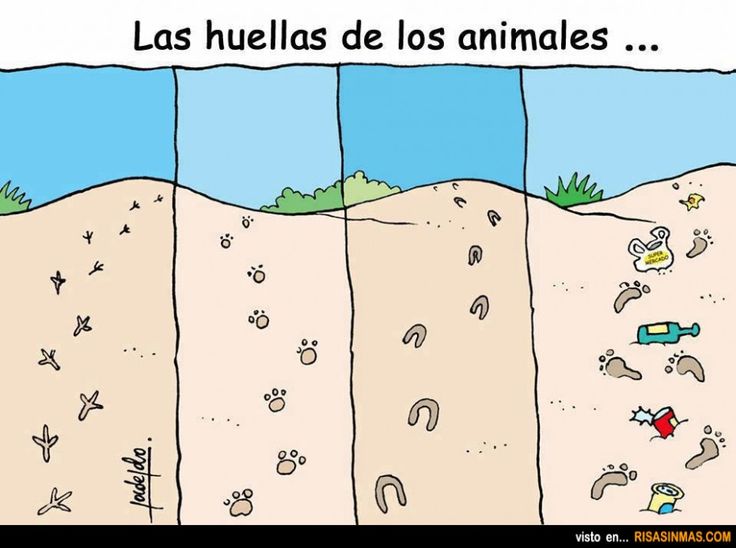Ecogranjero's tweet photo. Las huellas de los animales https://t.co/c4DrR5GQVa