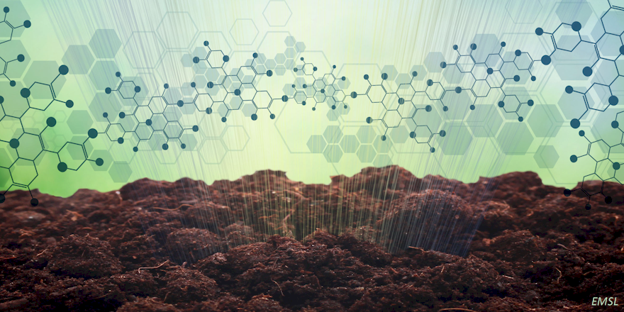 PNNLab tweet picture