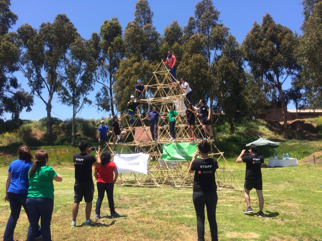 bamboobizchile's tweet photo. #Teambuilding #bamboo #bambu #coligue #colihue @latercera @bbcmundo @ArchDigest @radiozero977 https://t.co/PhBpuO84gf