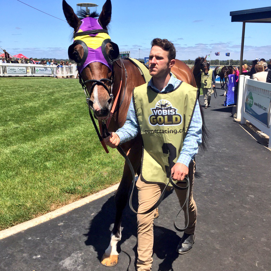 Apoloboom looks calm and collected  in the mounting yard ahead of the #VOBISGold Eureka Stockade #SpringCarnival