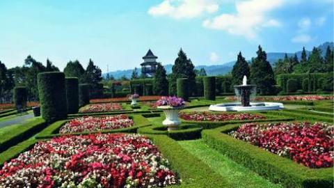 ambaretno_k's tweet photo. @MacHarmon maybe this place you must be visit,you can take a perfect photoshoot here. So come to Puncak Bogor https://t.co/Rh3tKjrzgl
