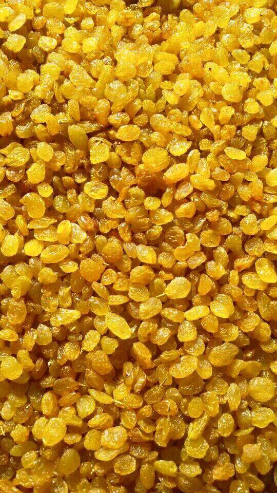 dynamicresourse's tweet image. Afghan Raisins