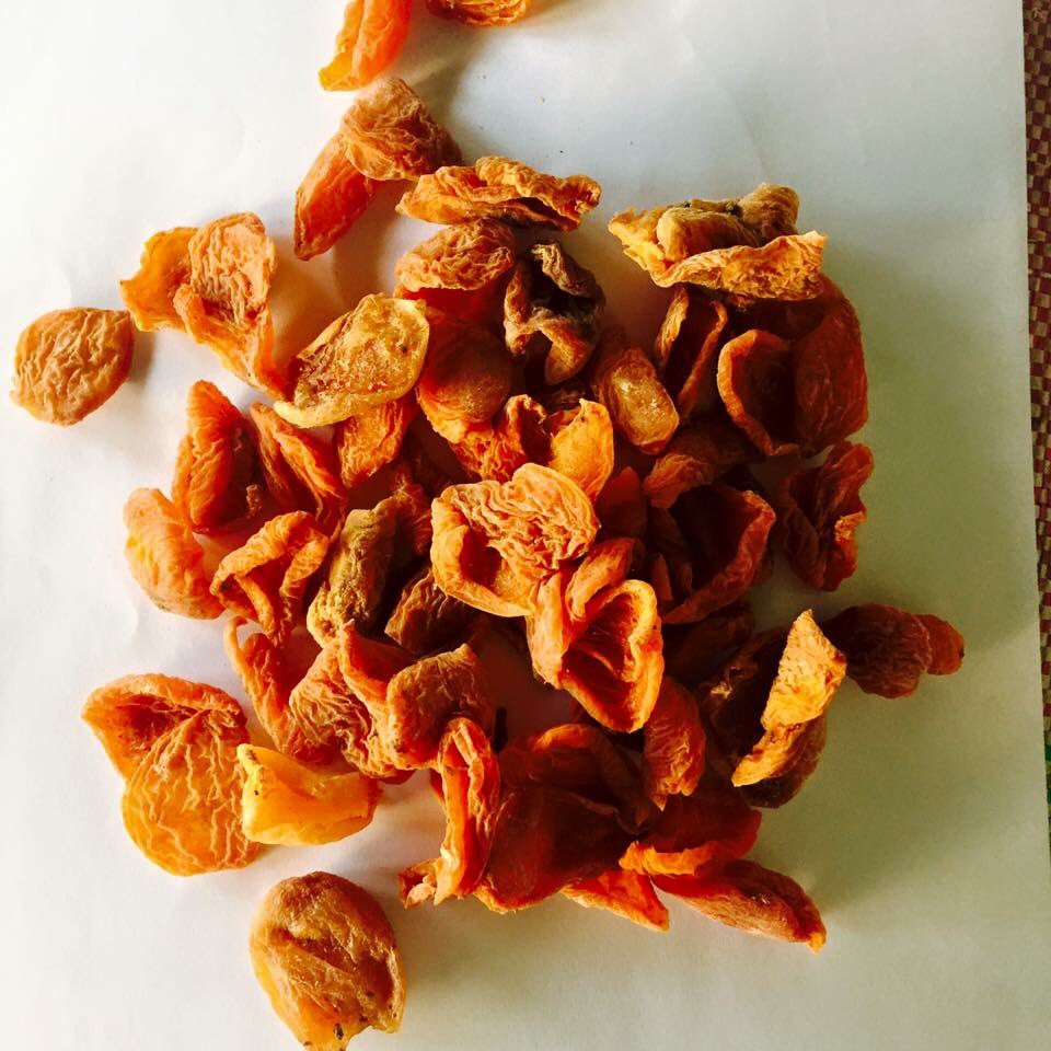 dynamicresourse's tweet image. Apricoats Dynamic Resources