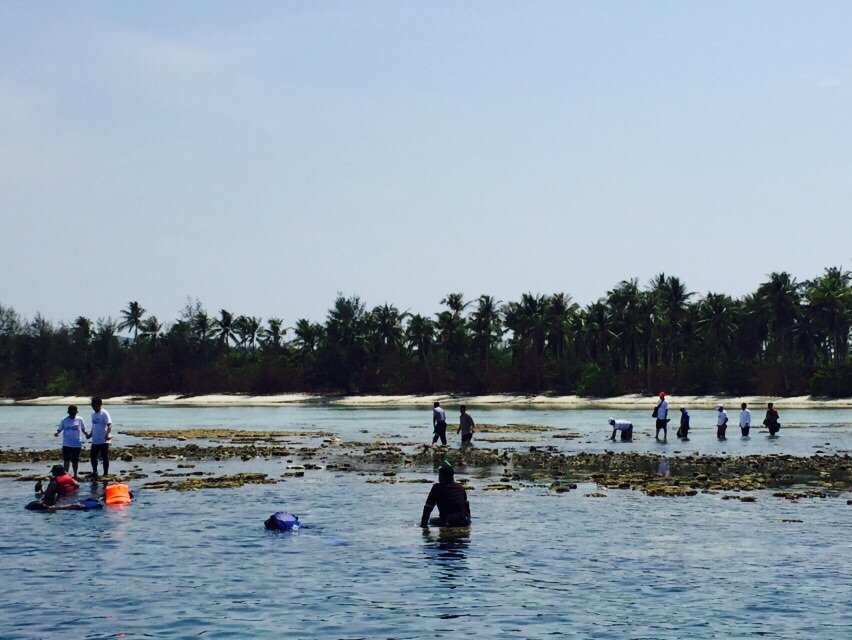 detikcom's tweet image. Rini Soemarno &apos;Paksa&apos; Bos BUMN Ikut Snorkeling di Karimun Jawa de.tk/VnG3Ml via @detikfinance