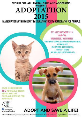 I am Anya  I am 7 years old I love animals..please come and help them.( my daughter's1st tweet)💗