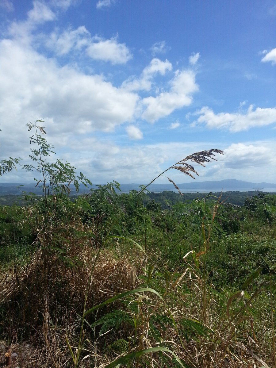 FranzV_'s tweet photo. Bundok gaming #LandHunting #Expanding https://t.co/mdcGBXdevp