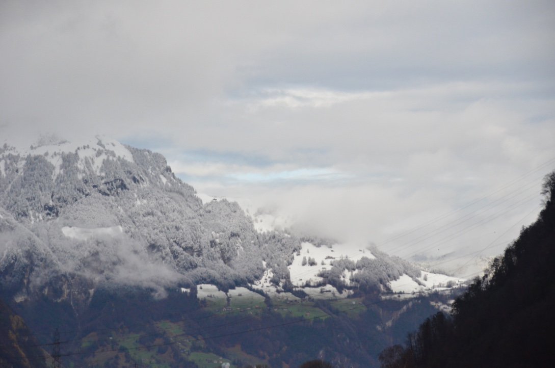 Laura Oderbolz tweet media