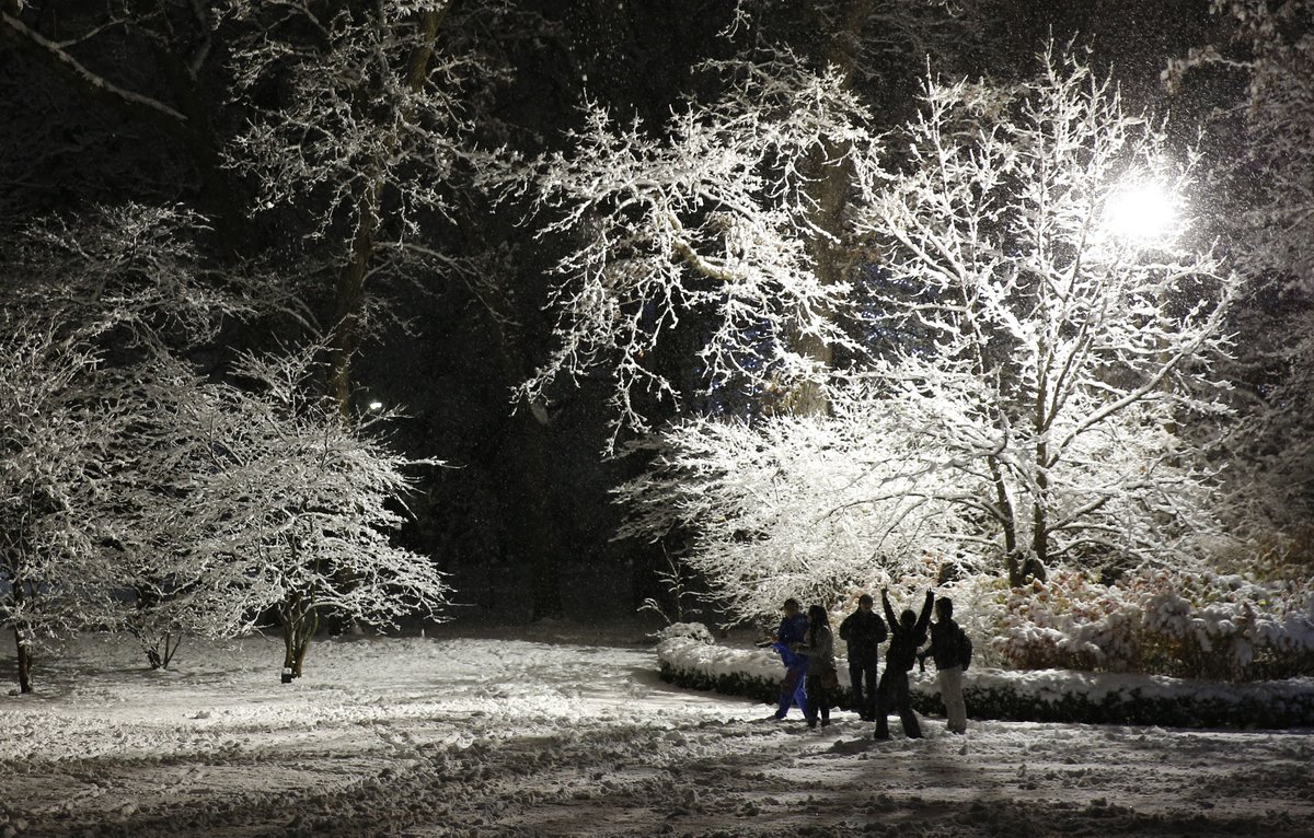 walker_pix's tweet photo. #FirstSnowChicago At least it's pretty. @ChiTribPhoto @chicagotribune #snow https://t.co/Vz4fvTWdIh