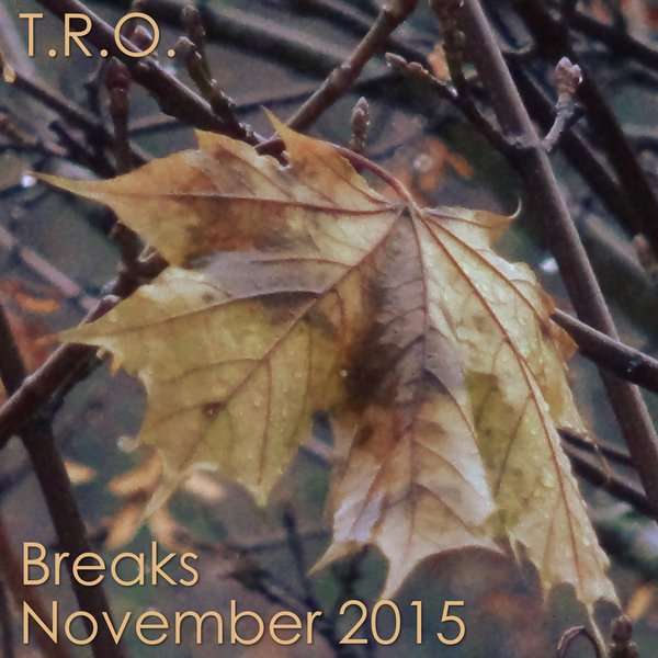 NSBRadio's tweet image. #FORUM_POST! T.R.O. - Breaks November 2015 | NSB FORUM: mixcloud.com/tromusic/break… / nuskoolbreaks.co.uk/forum/viewtopi… #Breaks