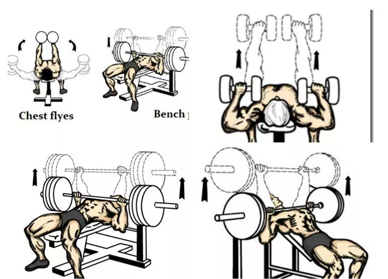 azadsingh0's tweet image. Best parktis chest..