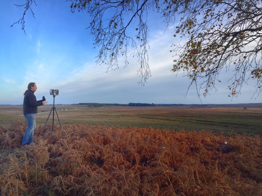 paulnwright's tweet image. @solentofficial @SolentGeog The New Forest's beautiful in Autumn. Just right for surveying fieldwork in late pm sun