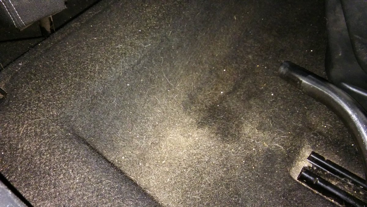 NFAutoclean's tweet photo. @dangrenfell free falling toast crumbs is a no no! Carpet wasn't better. Look what I brushed up AFTER the 1st vacuum https://t.co/rmGQqOiDWC