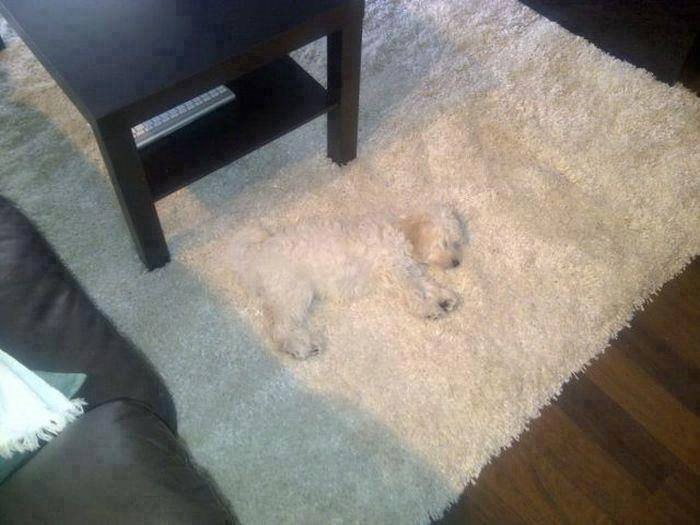 I have the #camouflage but I could always use more from <a href="/MillersSurplus/">Millers Surplus</a>  buddysdeals.com/Millers-Surplu… #military #Tucson