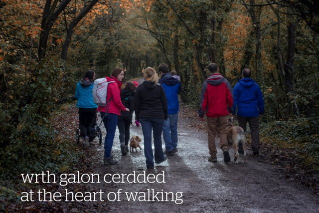 Sign up to our vision to make Wales the best place in the world for walking buff.ly/1SLrPFC #walesforwalking