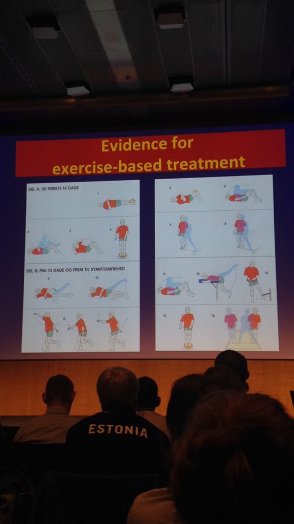 kristianlyng_'s tweet photo. Evidence based Exercise program for the groin. #RTP2015 @KThorborg https://t.co/i92Lzb7OK6